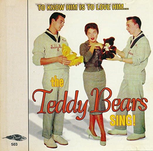 Teddy Bears Cover Image