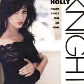 Holly Knight Cover Image