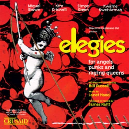 Elegies For Angels, Punks And Raging Queens Cover Image