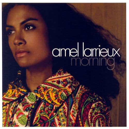 Amel Larrieux Cover Image