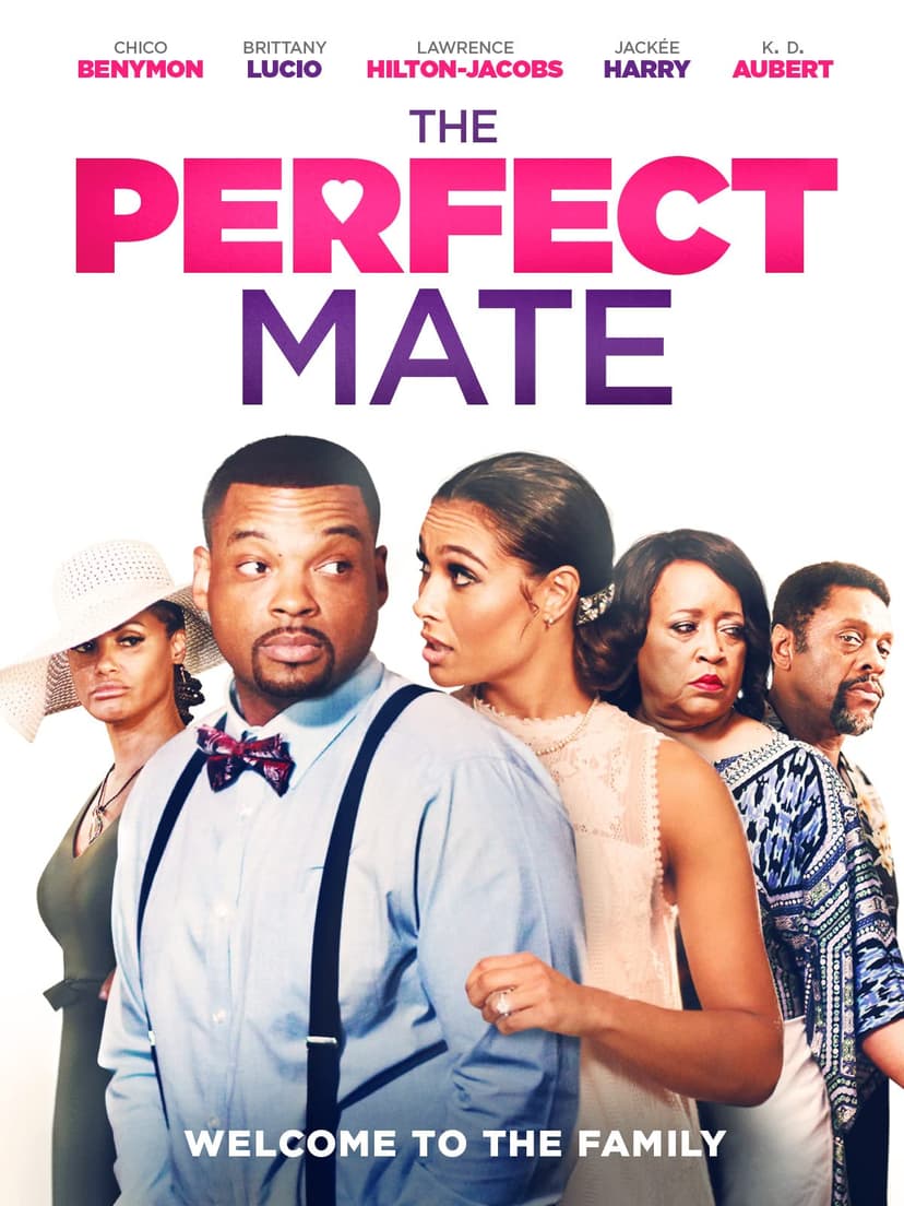 The Perfect Mate Cover Image