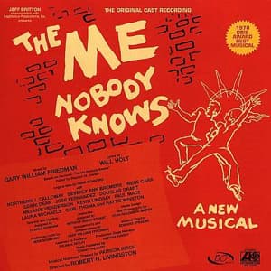 The Me Nobody Knows Cover Image