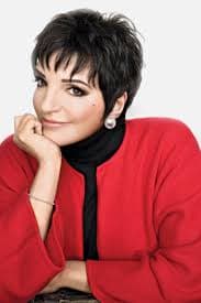 Liza Minnelli Cover Image