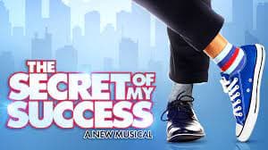 The Secret Of My Success Cover Image