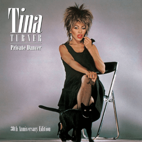 Tina Turner Cover Image