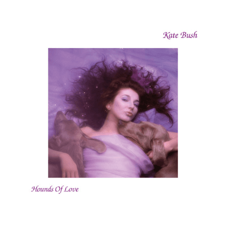 Kate Bush Cover Image