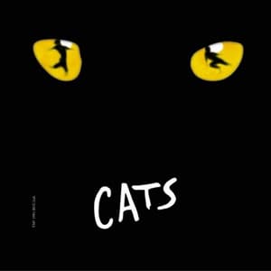 Cats Cover Image