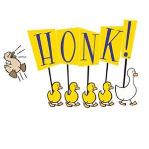 Honk Cover Image