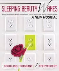 Sleeping Beauty Wakes Cover Image